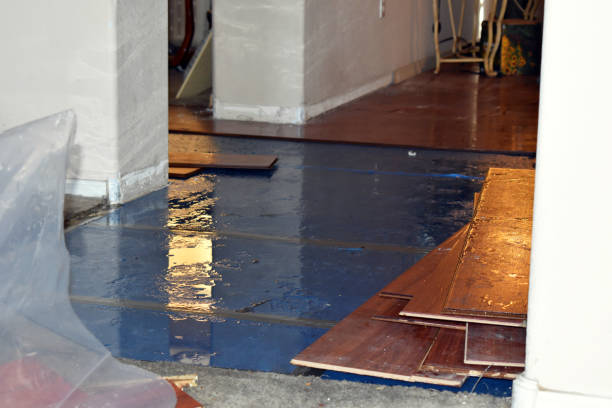 Professional Flood Cleanup technician working in Highland, MI