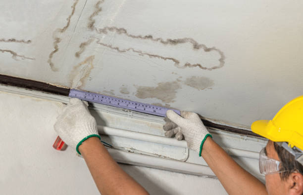 Reliable Flood Cleanup contractor in Highland, MI by Water Damage Irwin